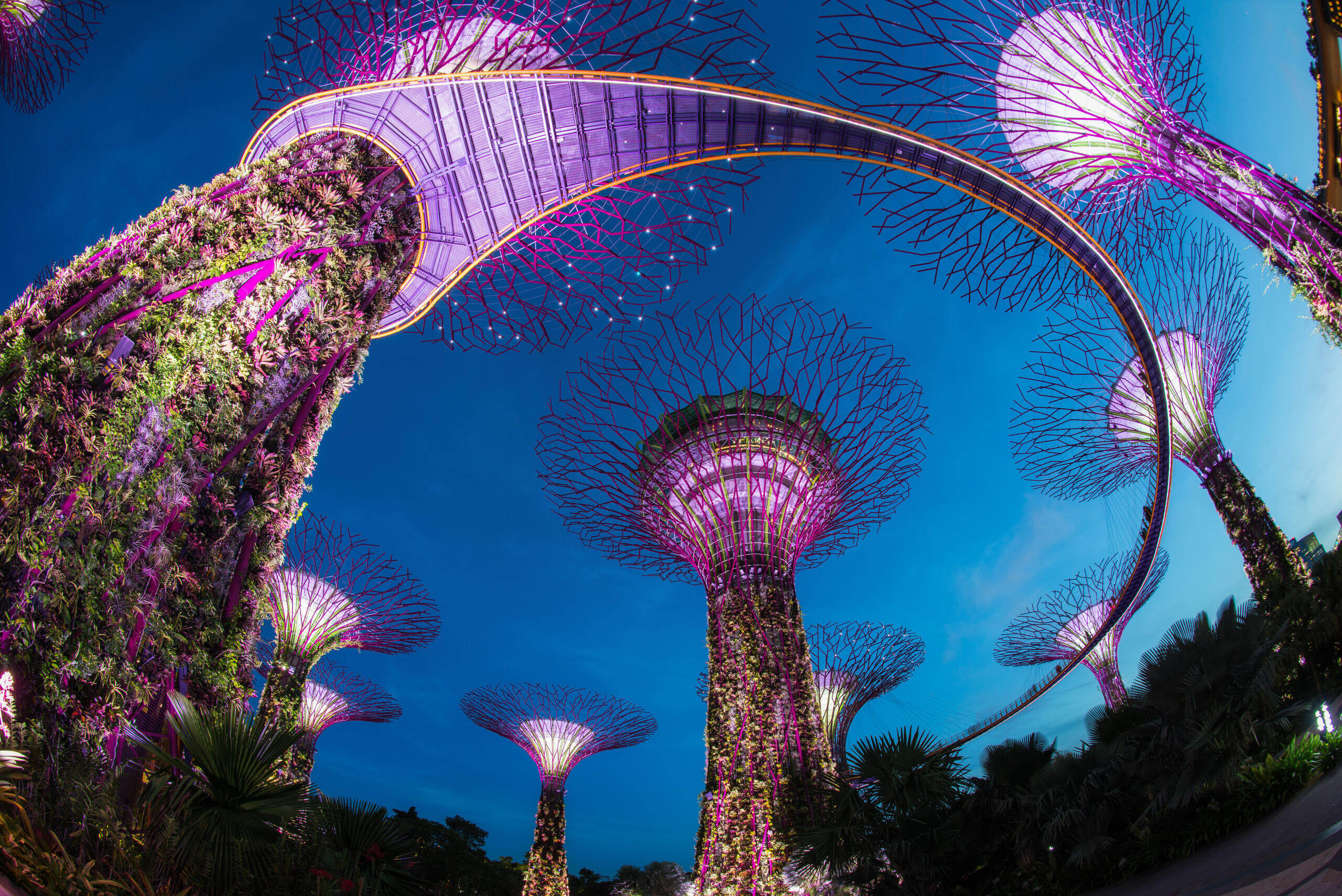 Gardens by the Bay Singapore