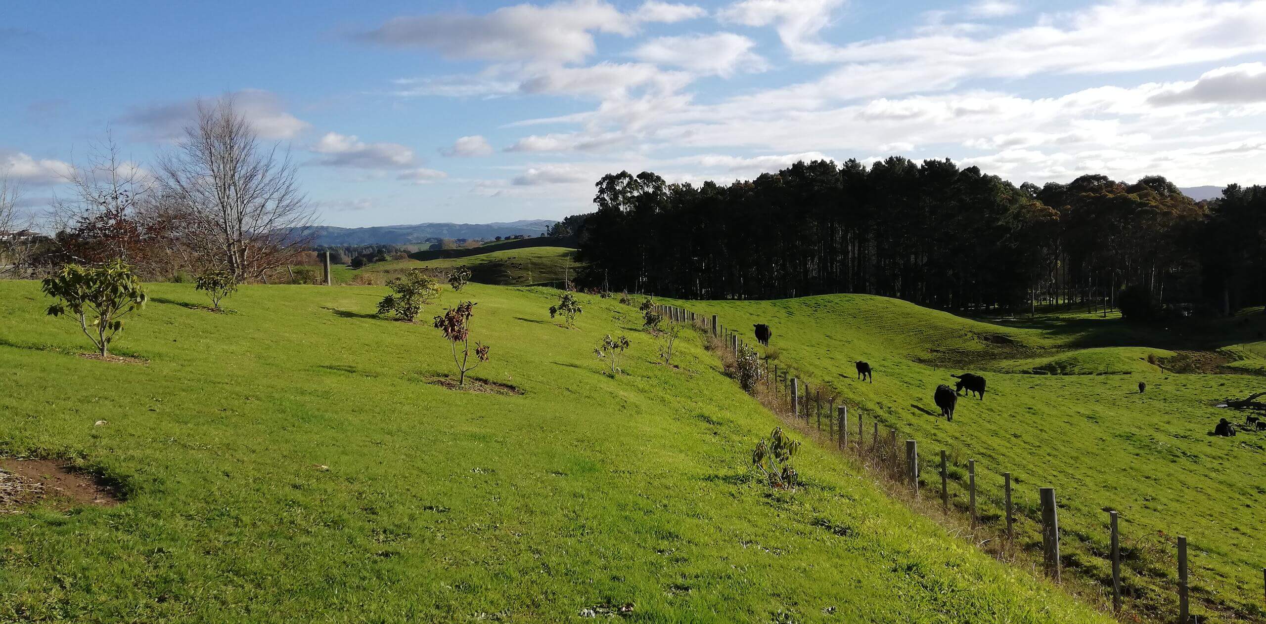 Landschaft Neuseeland