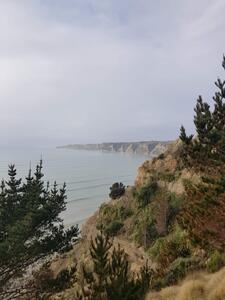 Cape Kidnappers