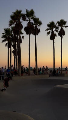 Venice Beach