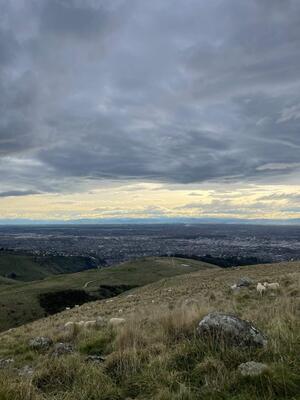 Christchurch von oben