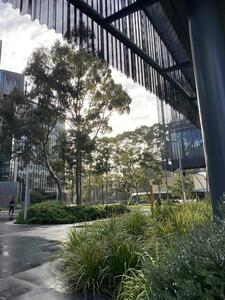 Monash University