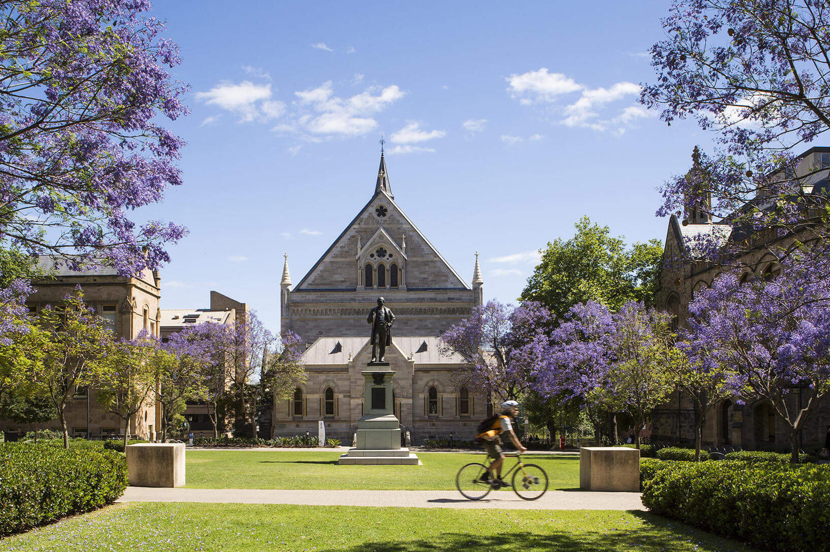 Campus North Terrace der University of Adelaide im Frühling