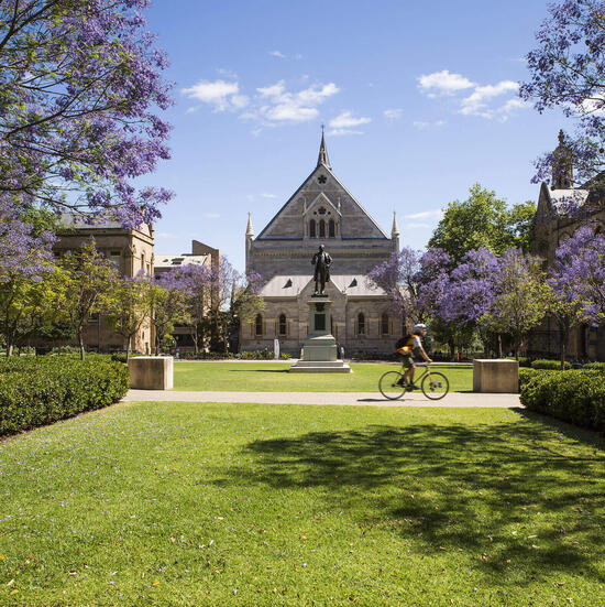 Die wilde Forschungswelt der University of Adelaide