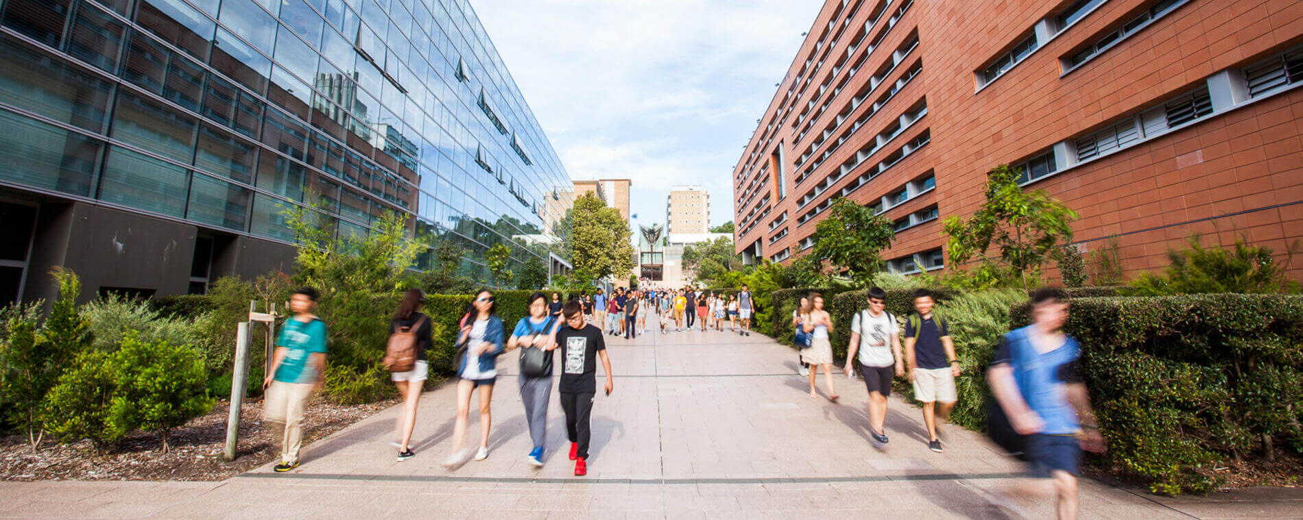 Studiere an der UNSW Sydney in Australien