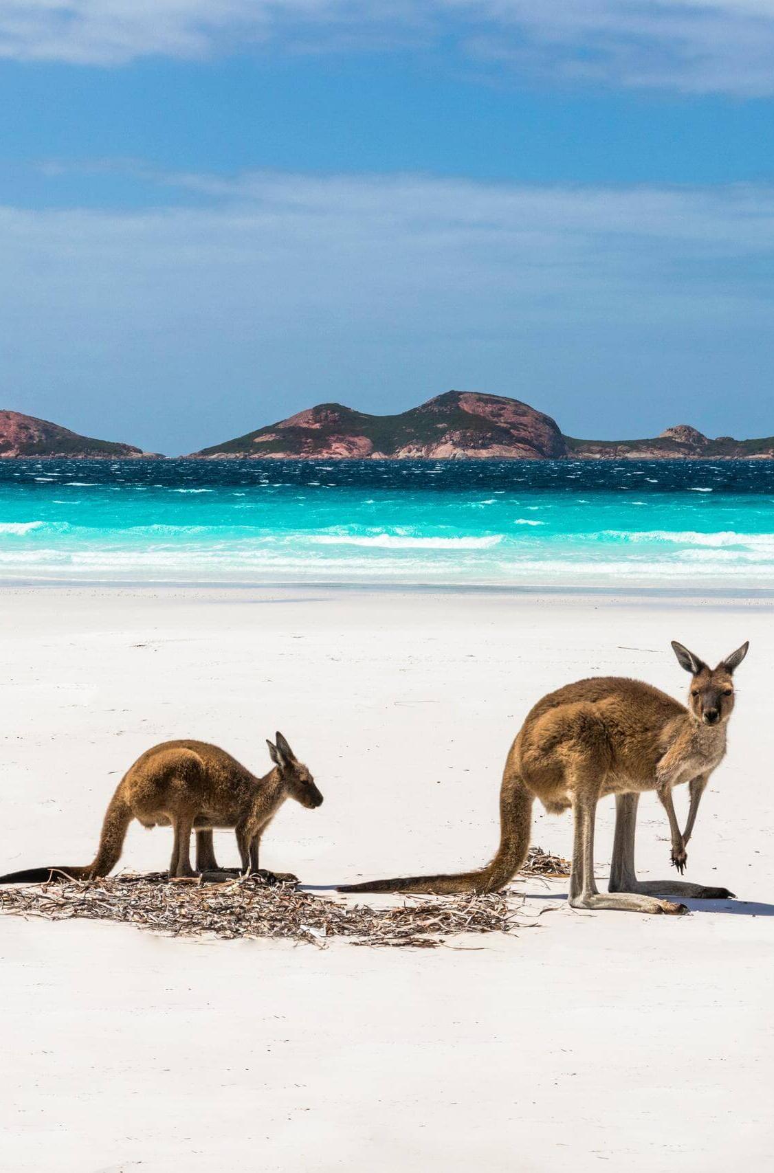 Lucky Bay