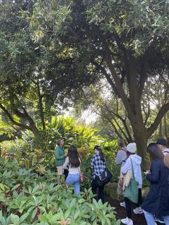 Biodiversitätstour Botanical Gardens Sydney