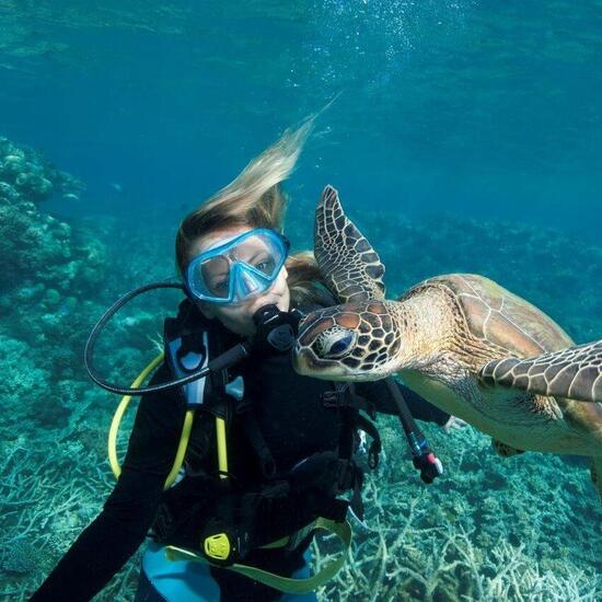 Meeresbiologie studieren an der James Cook University in Australien