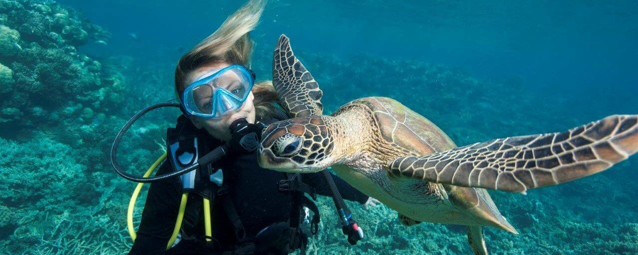 Scuba Diving mit Schildkröte