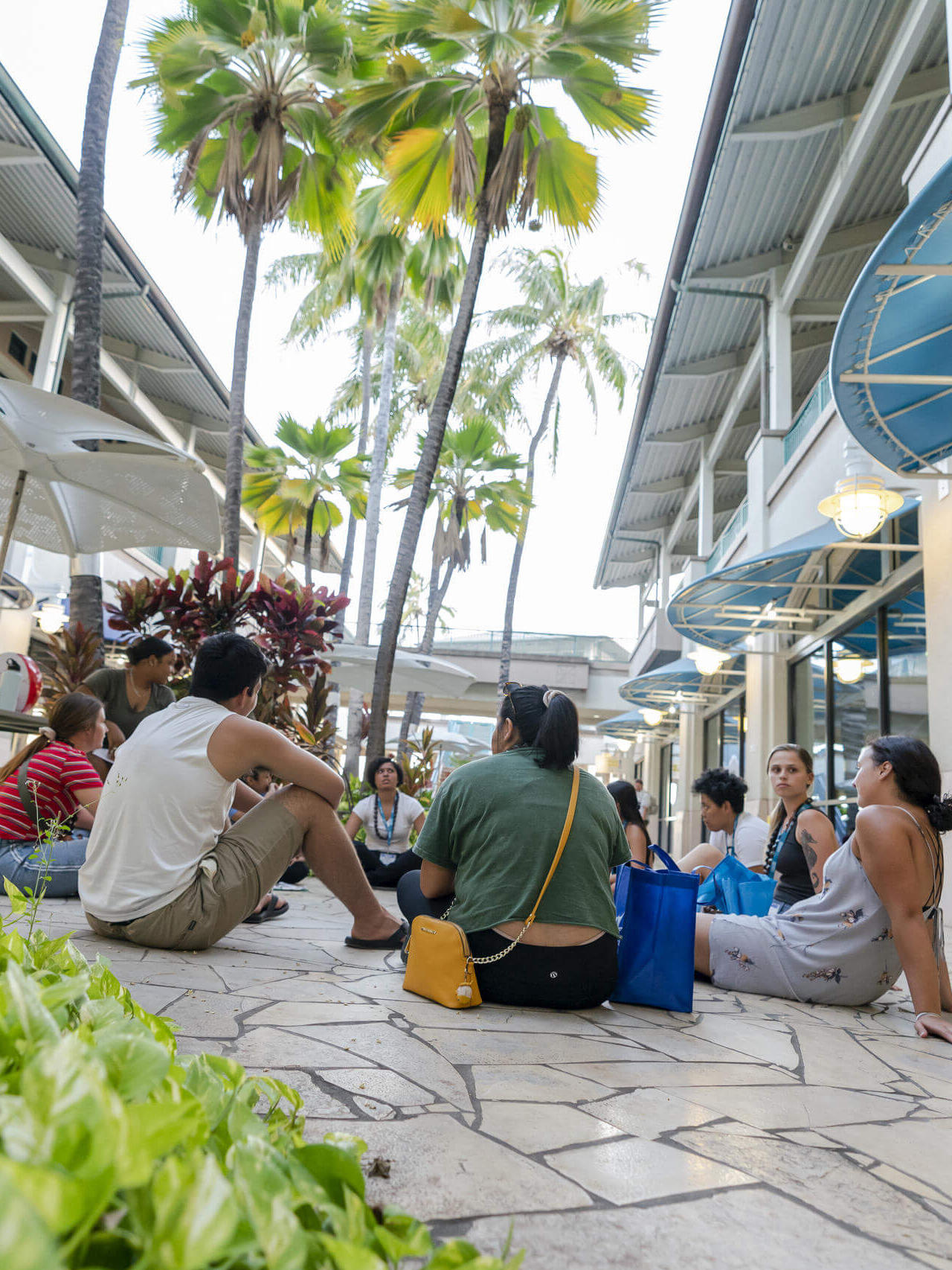 Studiere an der HPU in Hawaii