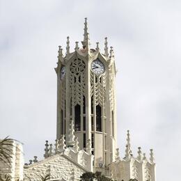 University of Auckland