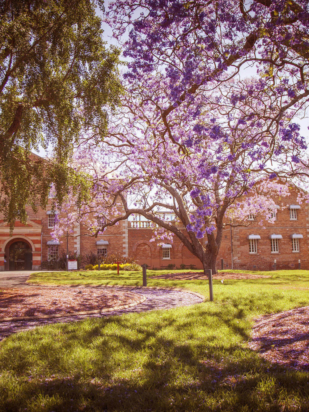 Female Orphan School auf dem Parramatta Campus der WSU 