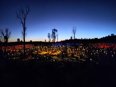 Field of Light