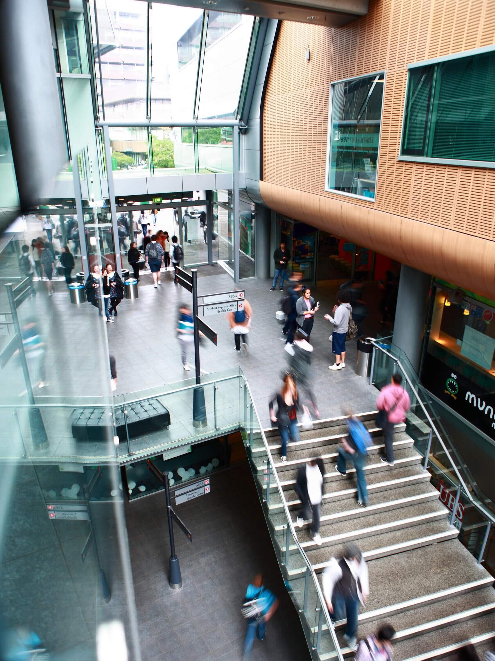 Studiere an der University of Auckland in Neuseeland