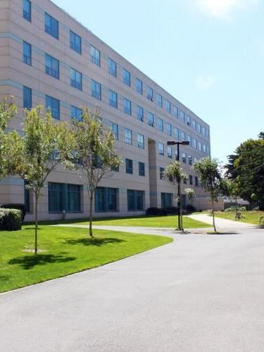 Studiere auf dem Campus der San Francisco State University