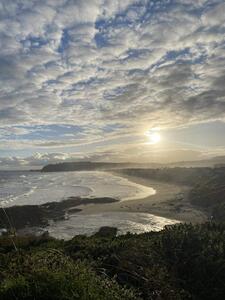 Strand Dunedin