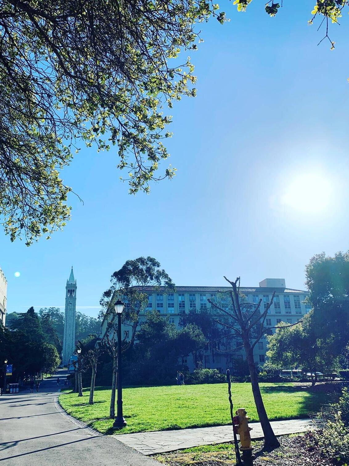 UC Berkeley Campus