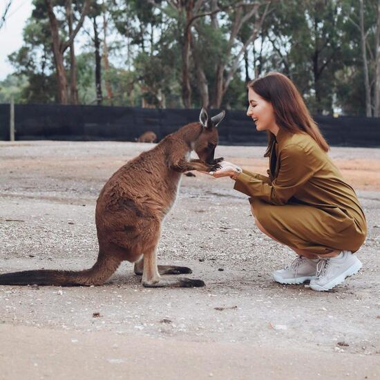 Gründe für ein Auslandssemester in Australien