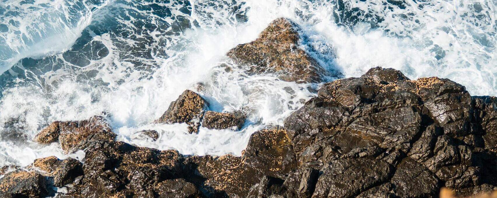 Coastal Research an der UNSW