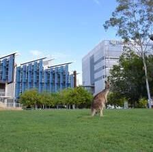 Doreens Erfahrungsbericht zum Auslandssemester an der University of the Sunshine Coast