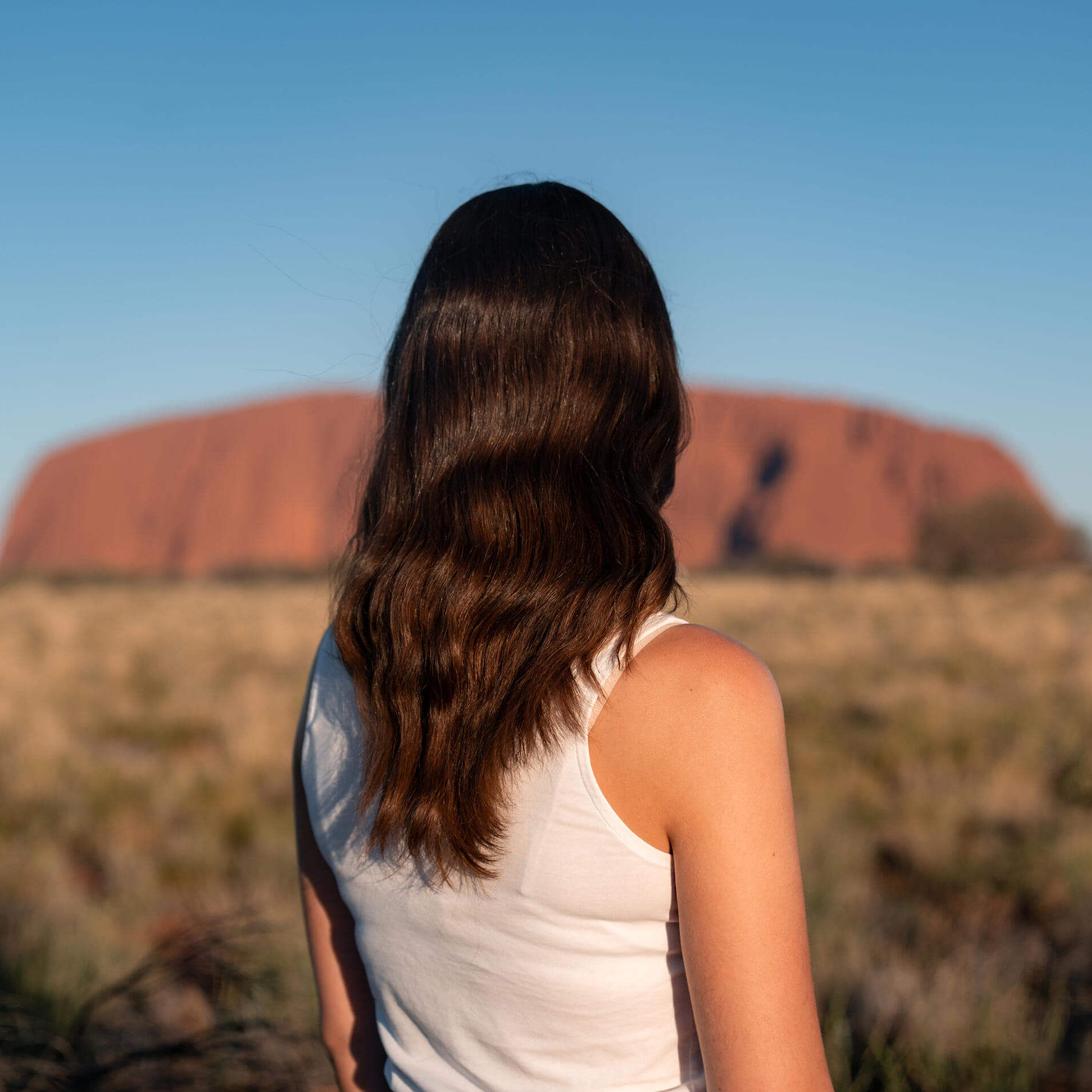 Erfahrungsbericht zum Auslandssemester an der Deakin University