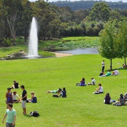 Ramonas Erfahrungsbericht zum Auslandssemester an der Macquarie University