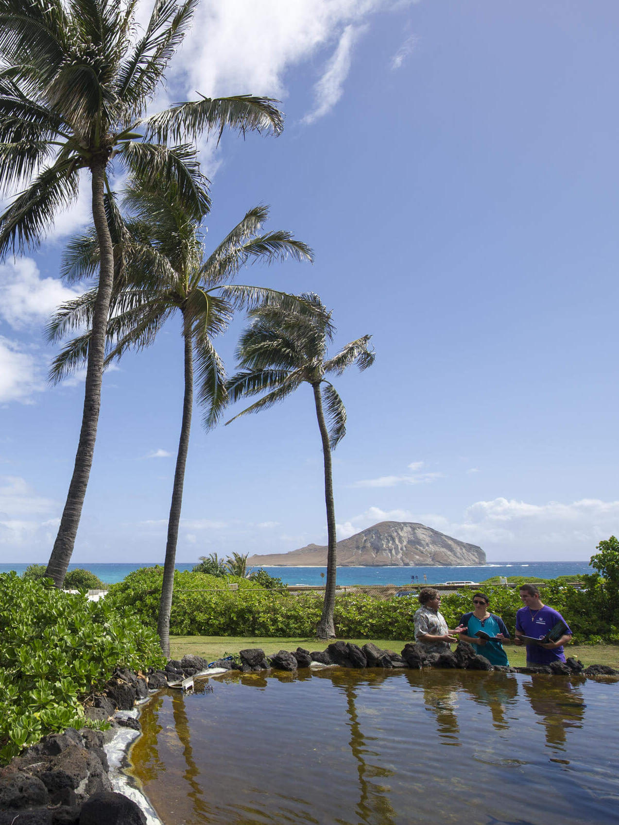 Oceans Institute der Hawai'i Pacific University