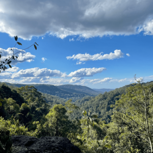 Natur in Queensland