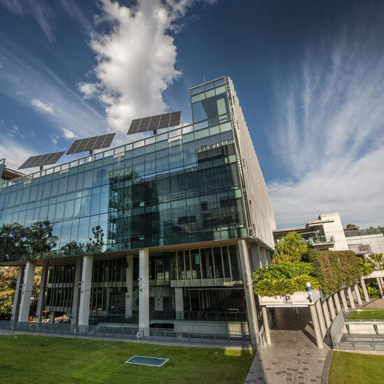 Gründe, wieso du an der Queensland University of Technology in Brisbane studieren sollst