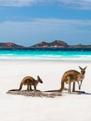 lucky bay