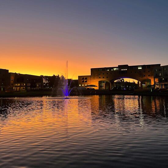 Studium an der Bond University - Campusleben