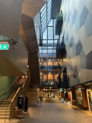 RMIT University