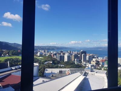 Ausblick Kelburn Library