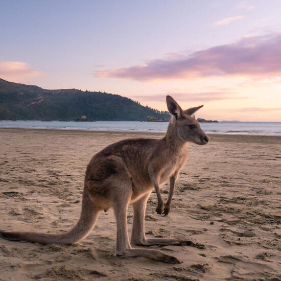 Berichte aus Australien: Ankunft & Orientation