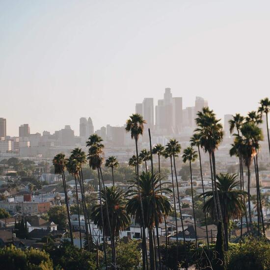 Stipendiatin Janina berichtet von der California State Uni Long Beach