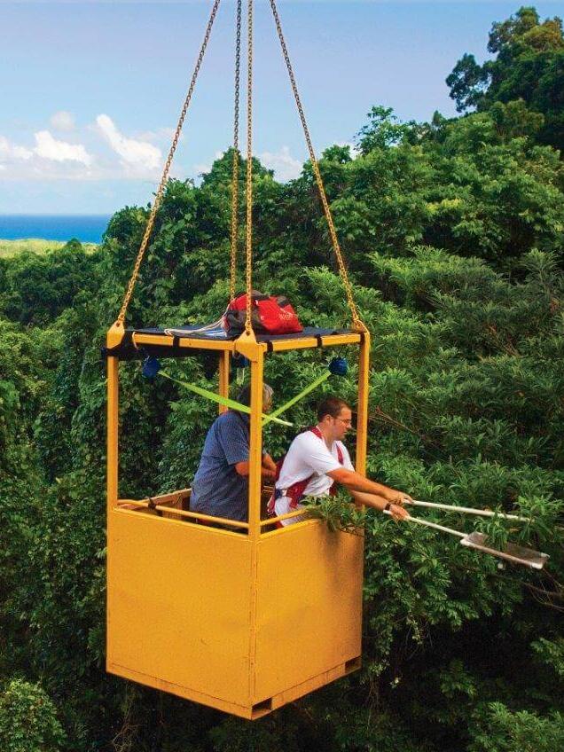 Forschungsstation der JCU im Daintree Regenwald