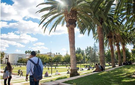 CSUN Campus