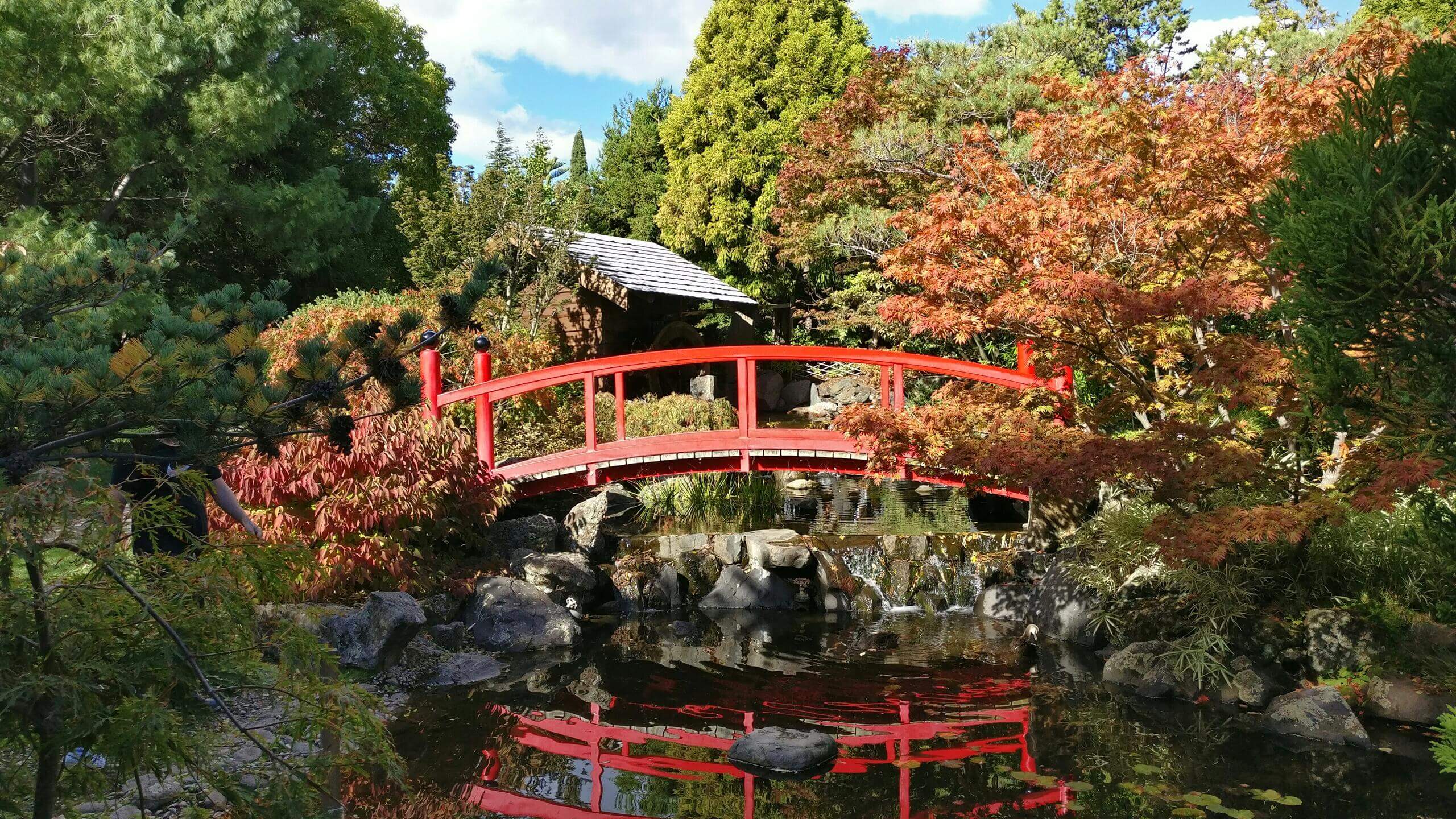 Brücke in Tasmanien